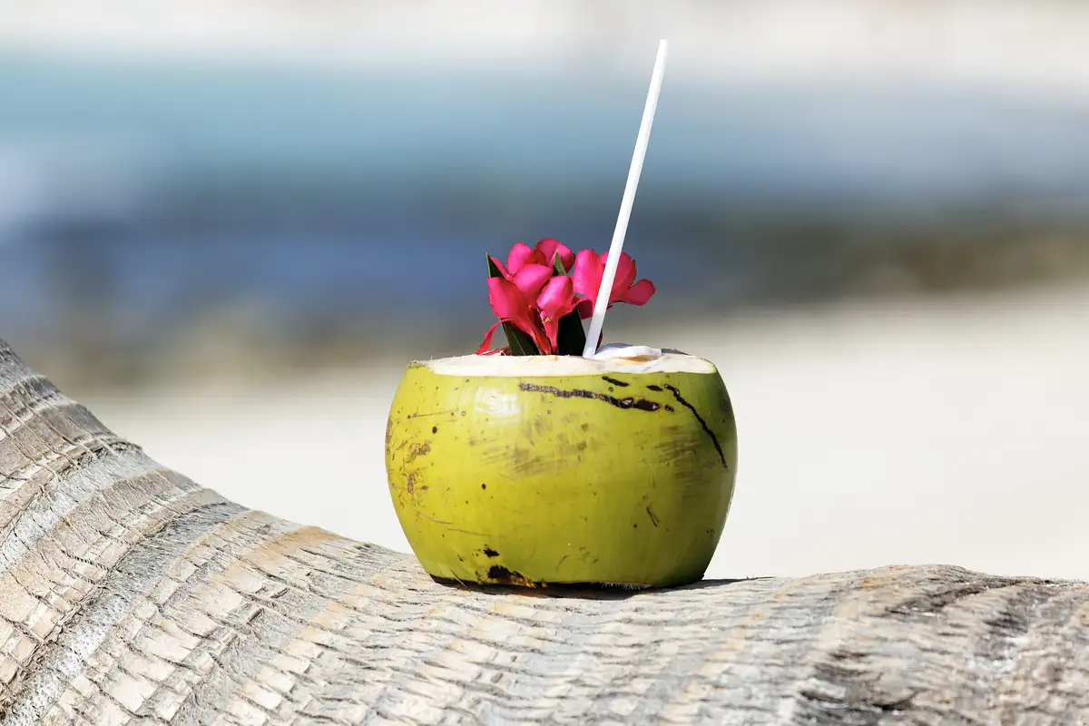 Guía para una escapada en grupo: planea un viaje con amigos a Tulum