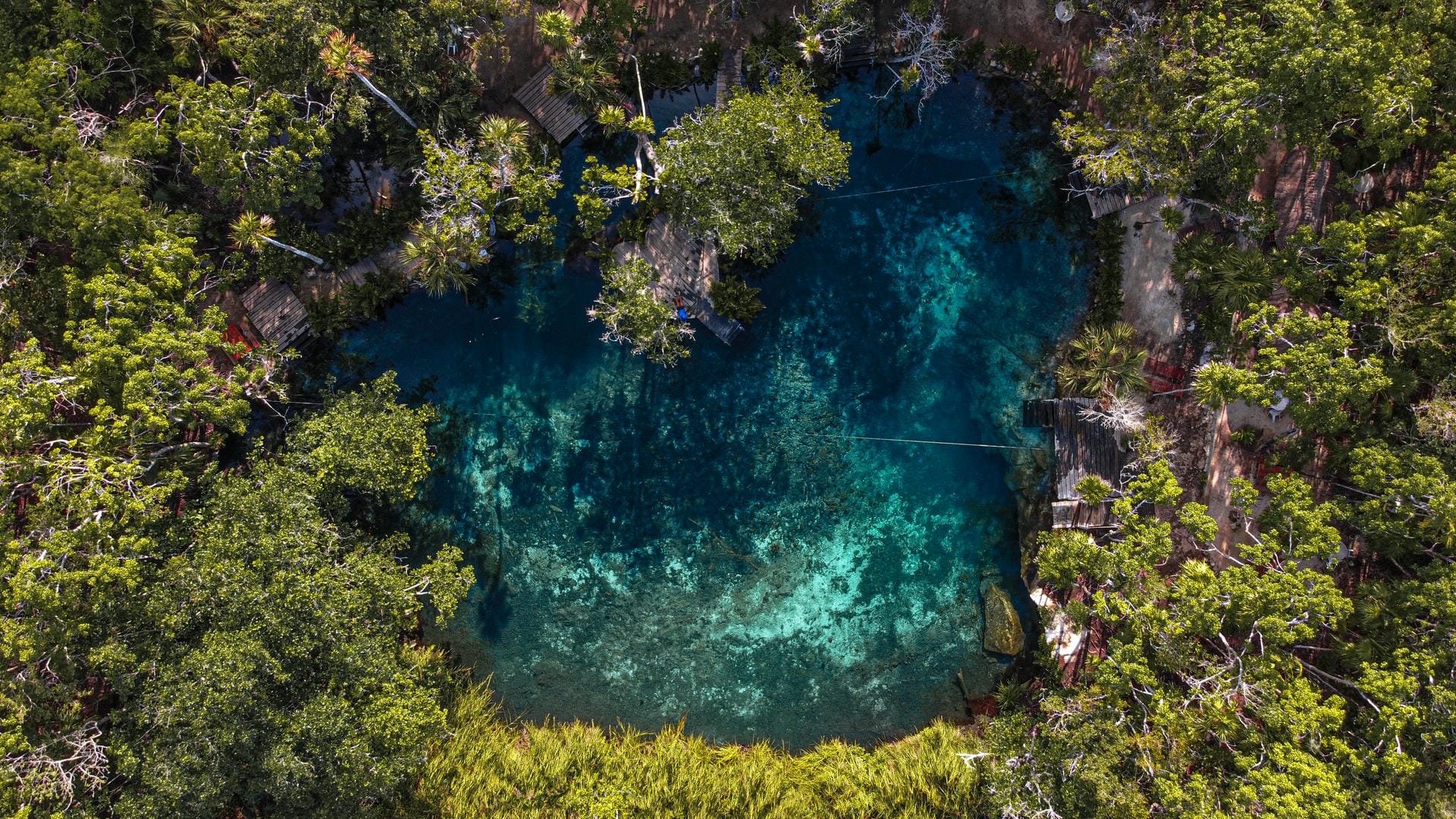Aventuras en cenotes: una guía para viajeros sobre los famosos cenotes de Tulum
